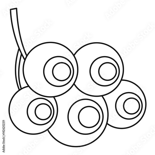 Viburnum opulus berries icon, outline style