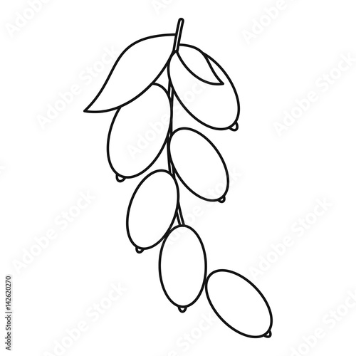 Dogwood berries icon, outline style