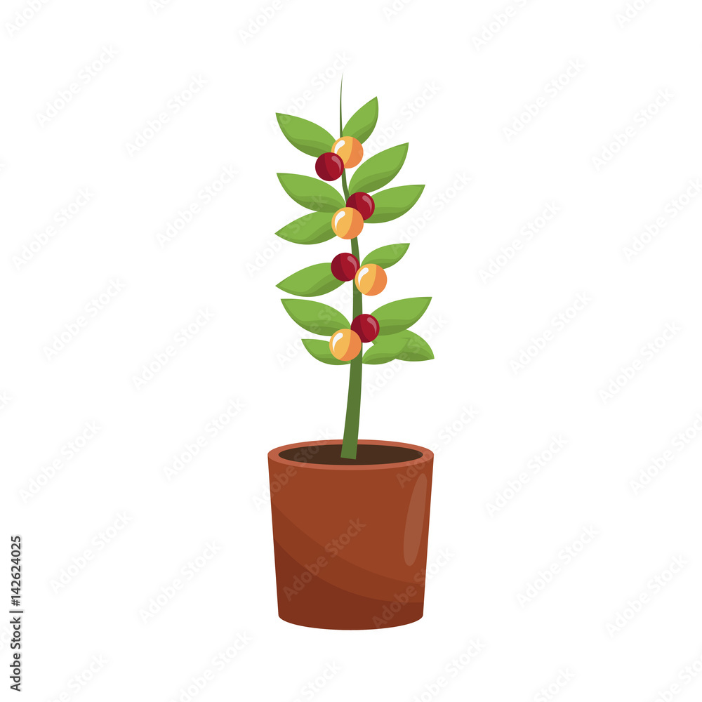 Obraz premium beautiful plant in a pot over white background. colorful design. vector illustration