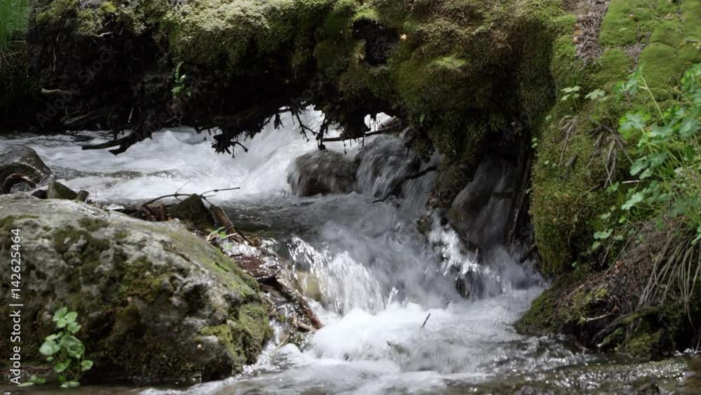 Water flowing under a moss tree stump Water flowing under a moss tree stump