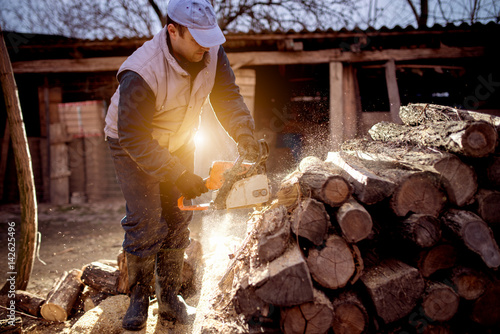 Chainsaw in action cutting wood. Man cutting wood with saw, dust and movements.