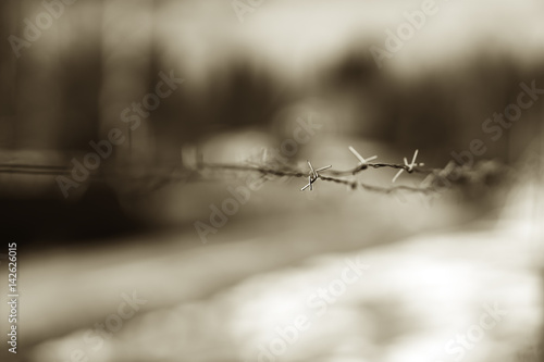 Horizontal prison jail barbed wire background