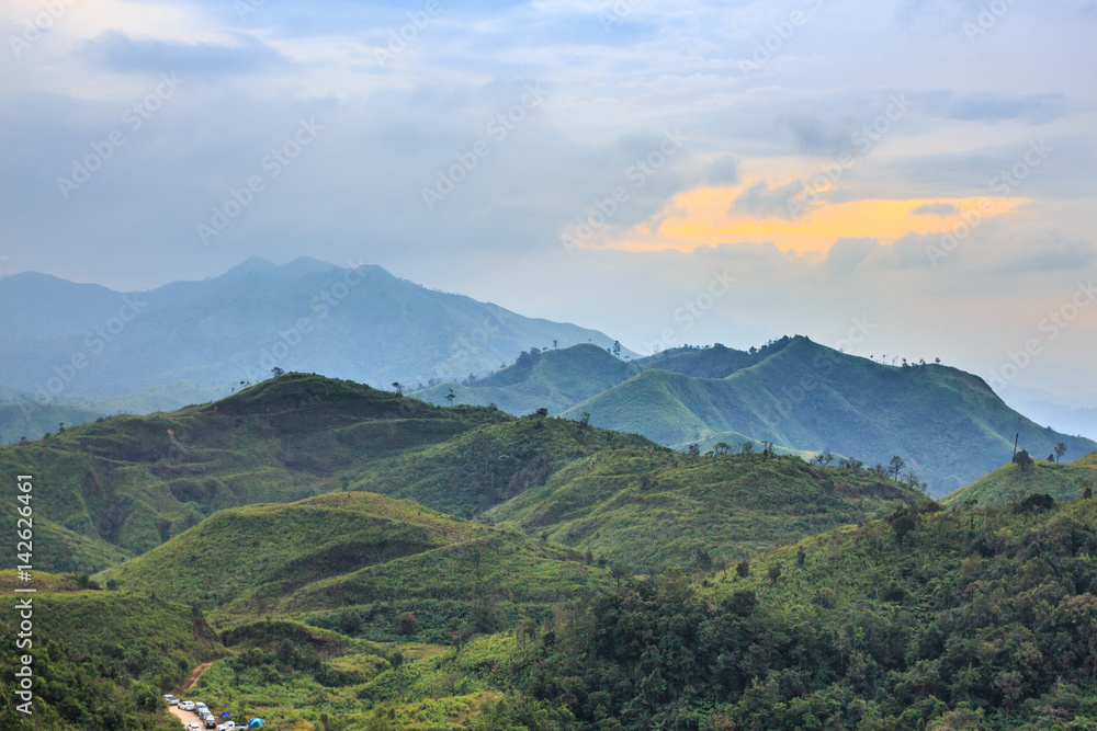 horizon beautiful green field forest mountain, vintage style