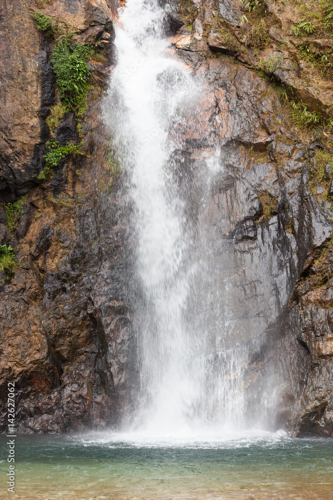 Fototapeta premium close up vertical waterfall in green forest