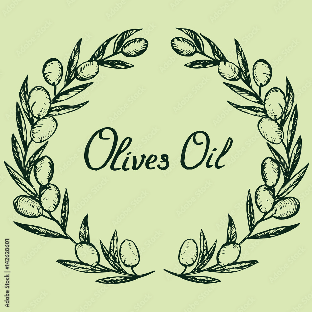 Olive branches, Olive Oil label design with inscription, woodcut style design, hand drawn doodle, sketch in pop art style, isolated vector illustration