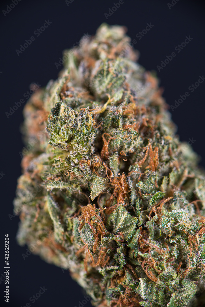 Macro detail of cannabis bud Macro detail of cannabis bud