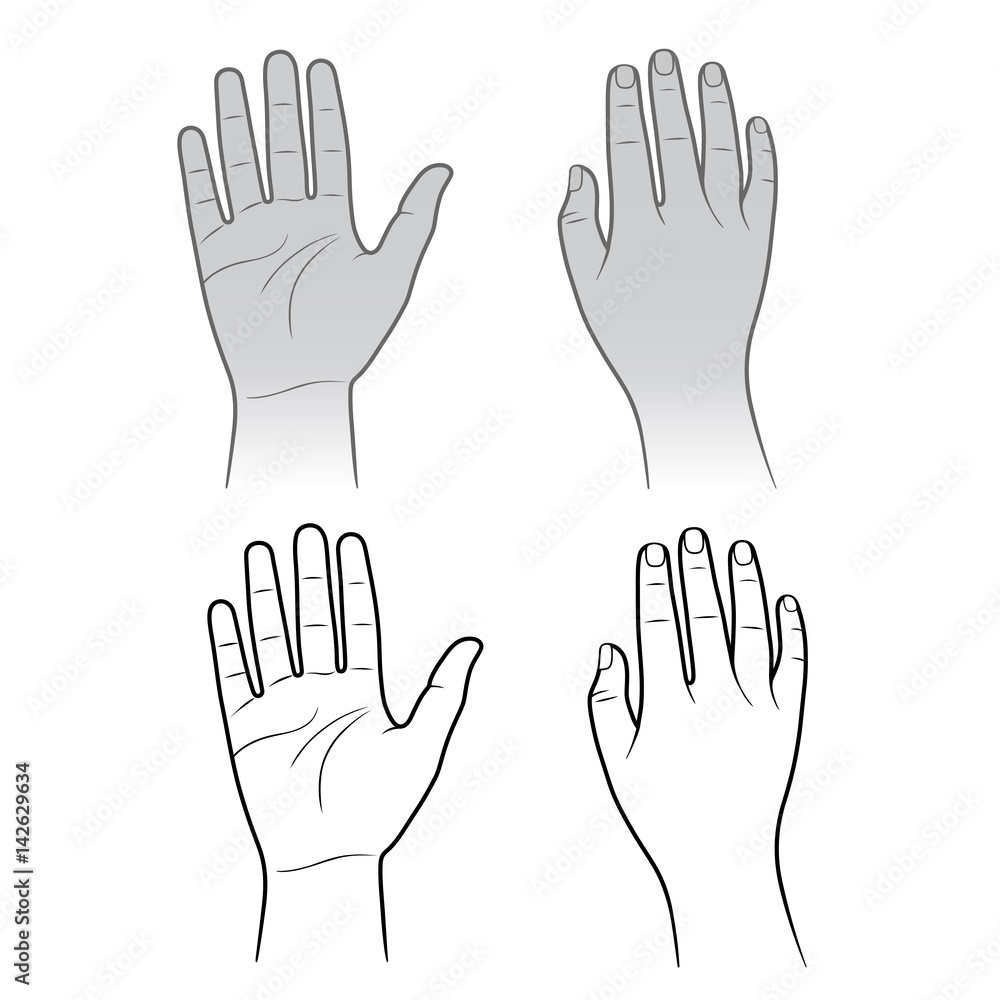 Fototapeta premium Woman, man hands isolated on white