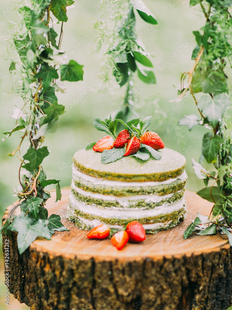 The closeup photo of the stump hanging on the herbs and the green sponge cake with strawberries