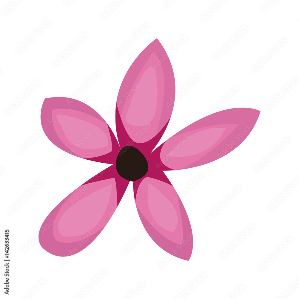 beautiful flower icon over white background. colorful design. vector illustration beautiful flower icon over white background. colorful design. vector illustration