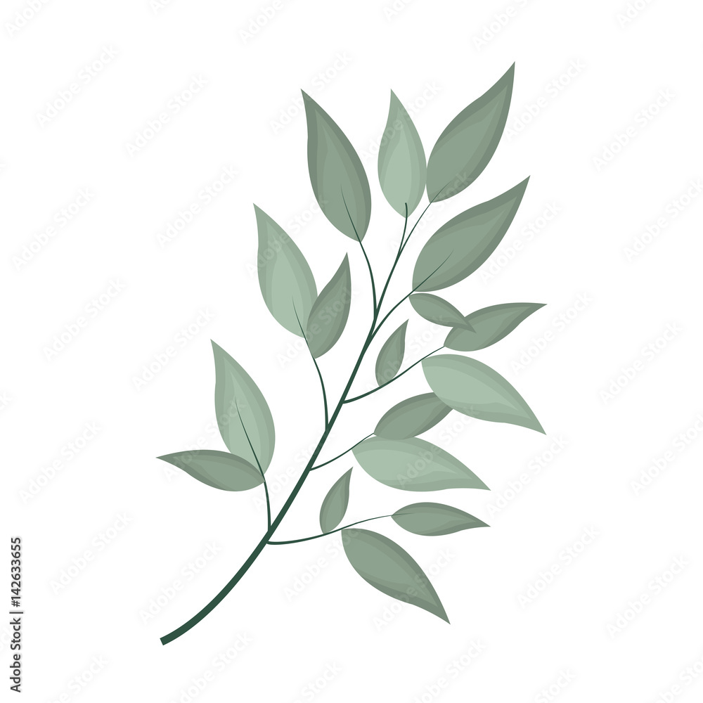 green foliage icon over white background. colorful design. vector illustration