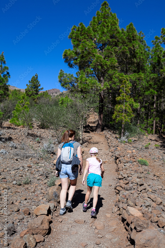 Mother and young daughter walking on hiking trail through the coniferous woods in the mountains of Teno. Volcanic pathway to the Lunar Landscape. Tenerife, Canary Islands, Spain