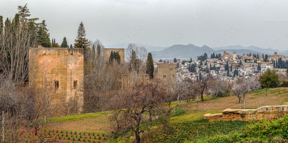 view of Alhambra wall and Granada, Spain