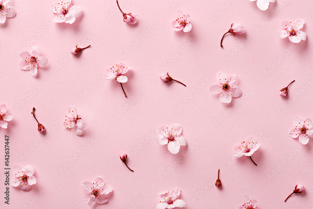 Fototapeta premium Flower blossom pattern on pink background. Top view