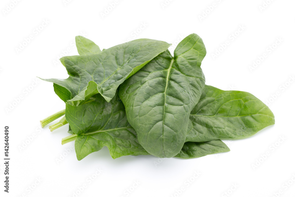 Fresh leaves of spinach on the white background. Fresh leaves of spinach on the white background.