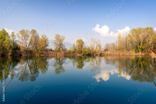 Fototapeta Naklejka Na Ścianę i Meble -  Pond reflections