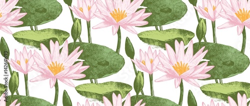Seamless pattern with water lily flowers