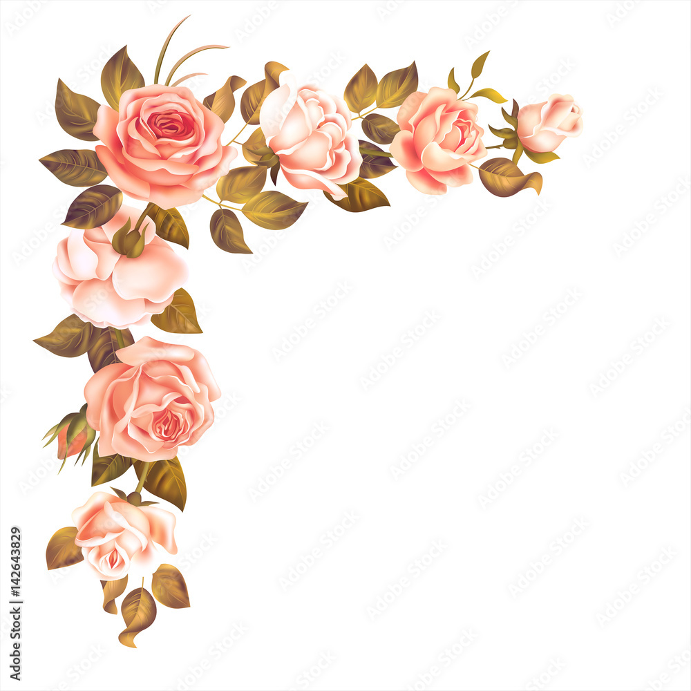 Beautiful rose garland isolated on white. Vector illustration