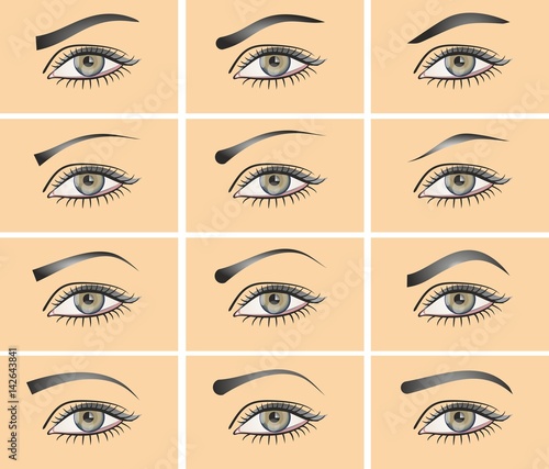 A set of different types of eyes. A set of eyebrows.
