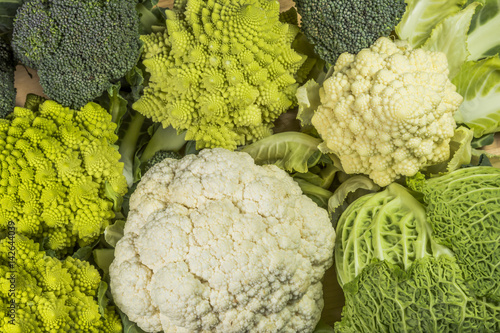  varieties of vegetables: savoy green cabbage, broccoli, roman and white cauliflower photo