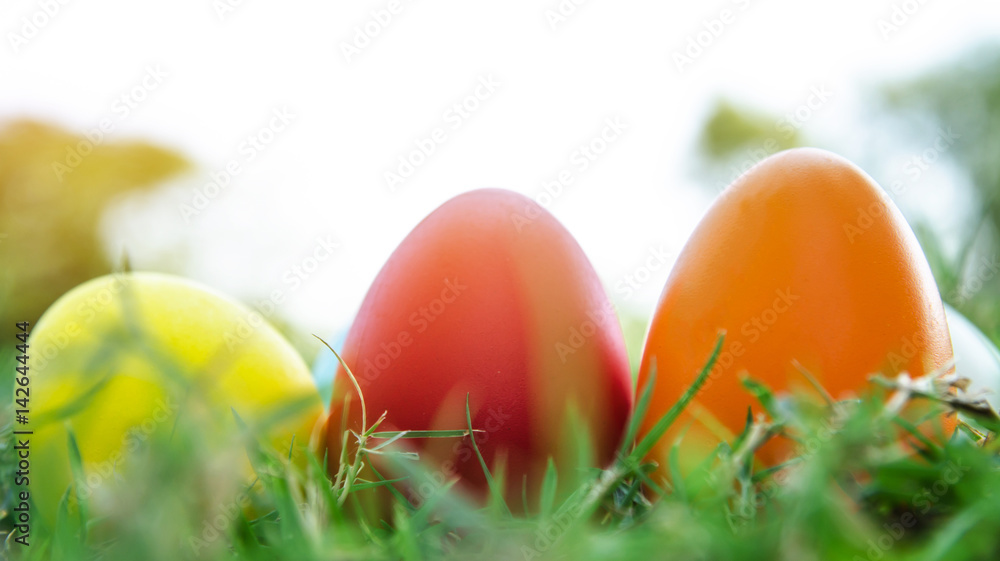 Easter eggs in grass against blurred green background. Spring holidays concept