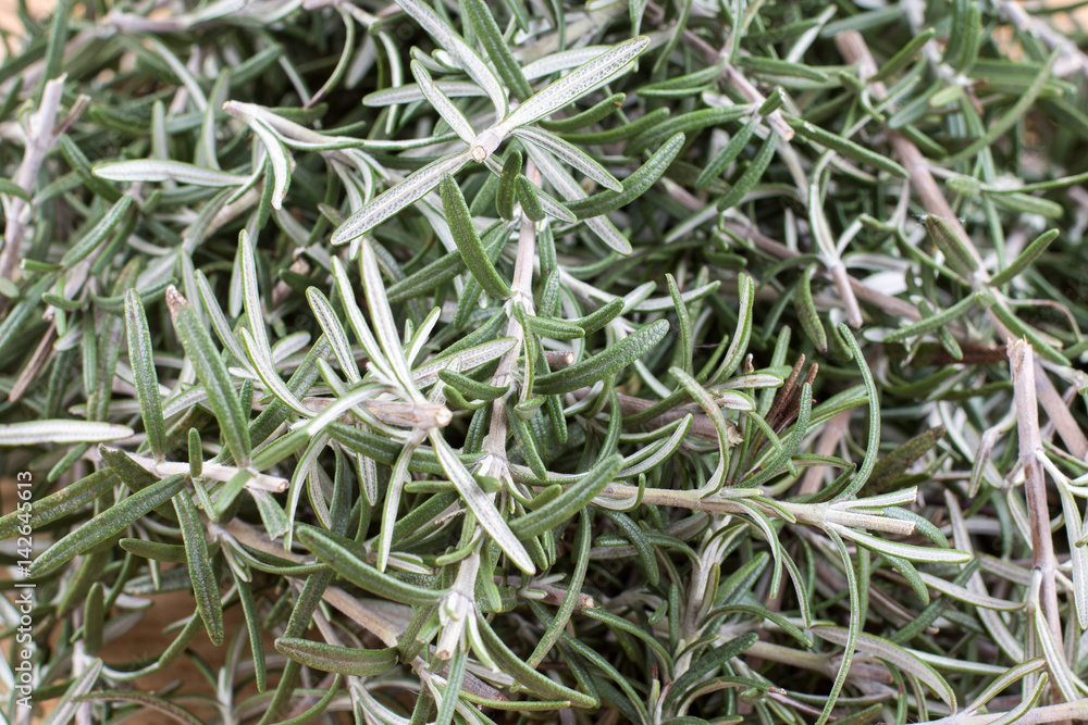 Closeup macro of chopped rosemary spice plant