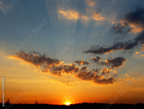 Sunset over the field