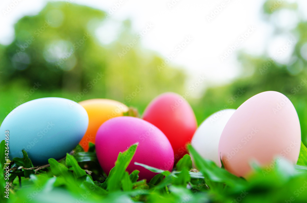 Easter eggs in grass against blurred green background. Spring holidays concept Easter eggs in grass against blurred green background. Spring holidays concept