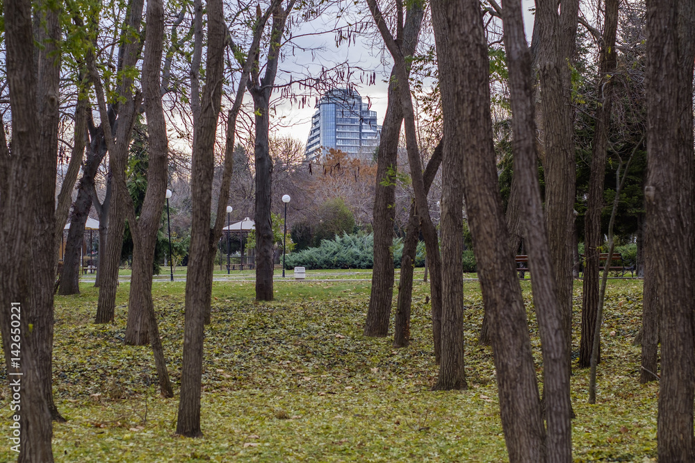 Obraz premium Autumn in Sea park
