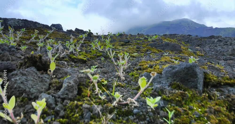Rugged rocky volcanic landscape of deserted land. Tourist excursion to Batur volcano national park, Bali, Indonesia Rugged rocky volcanic landscape of deserted land. Tourist excursion to Batur volcano national park, Bali, Indonesia