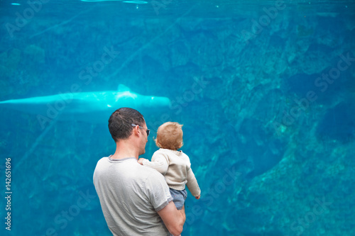 10 month old baby boy and father looking at white whale at aquarium photo