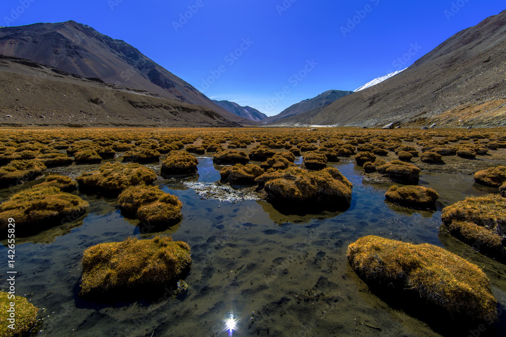 Landscape of Leh Ladakh, Jammu and Kashmir, India