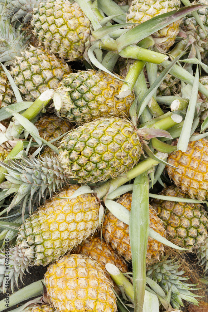 pile of pineapples pile of pineapples