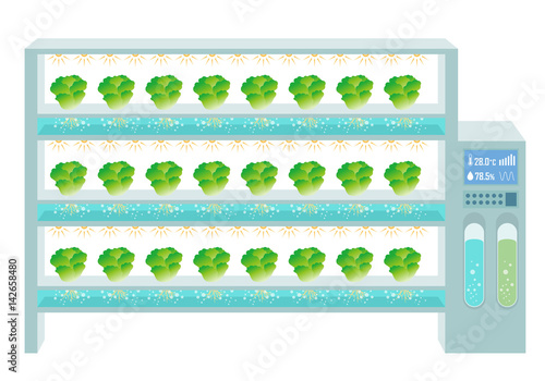 plant factory concept, vegetable plant, closed growing system for year-round production of vegetables