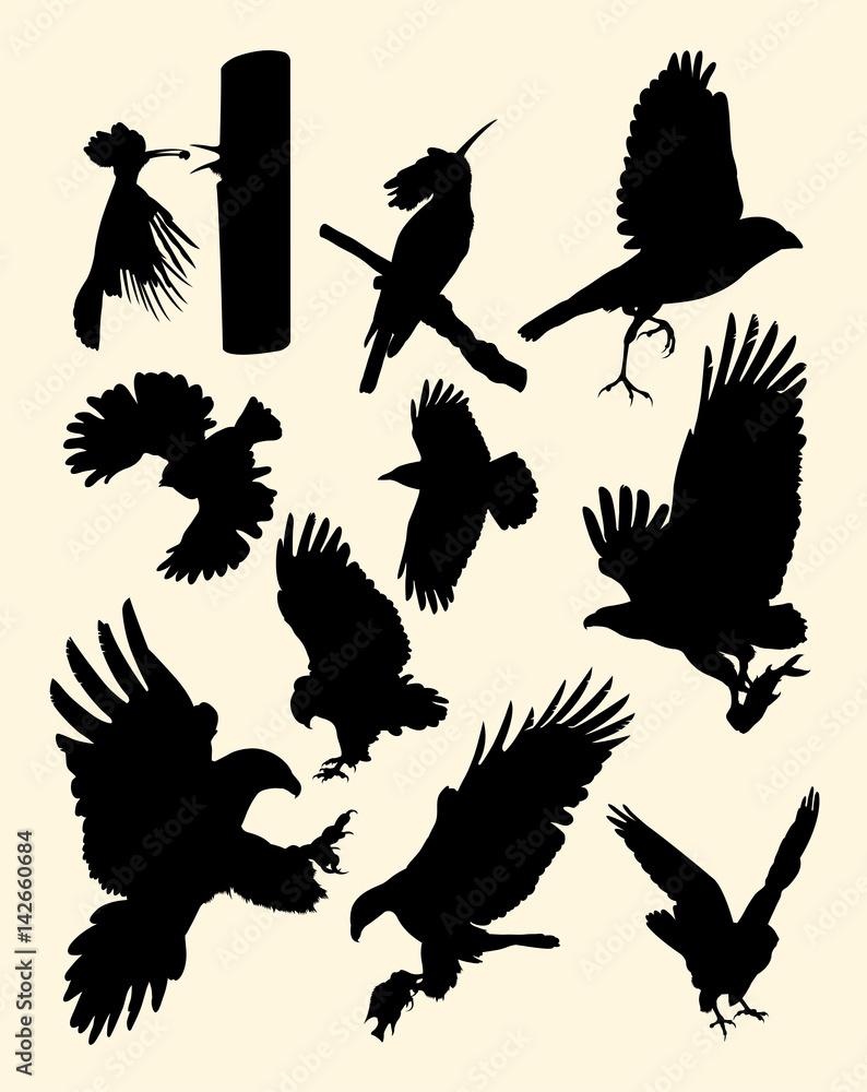 Fototapeta premium Flying birds silhouette. Good use for symbol, logo, web icon, mascot, sign, or any design you want.