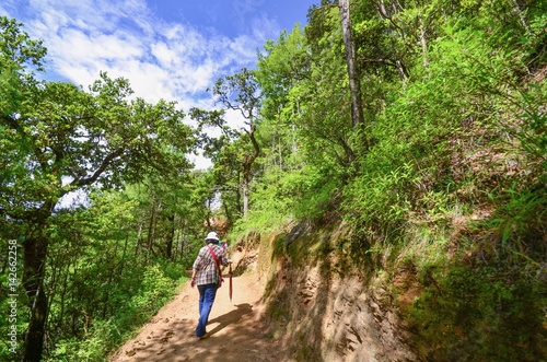 Walking Trail Towards Taktsang Palphug Monastery in Paro  Bhutan