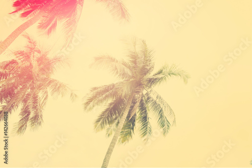 Fototapeta Naklejka Na Ścianę i Meble -  Palm Trees Jungle Toned Landscape Tropical View