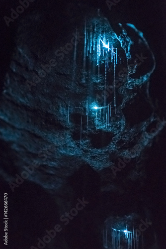New Zealand Glow woms in a dark cave