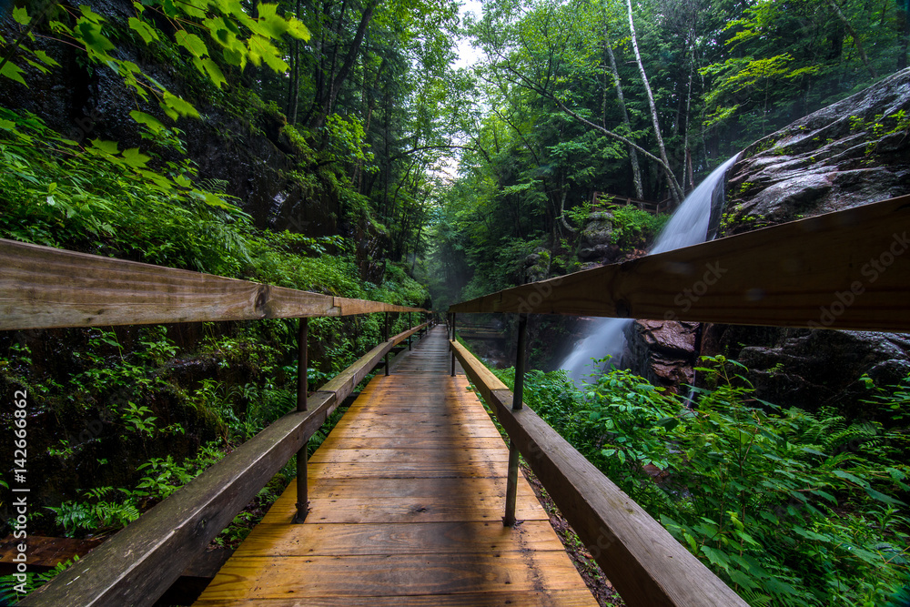 Fototapeta premium Wodospady w New Hampshire