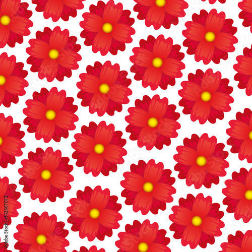 cute flowers pattern background vector illustration design