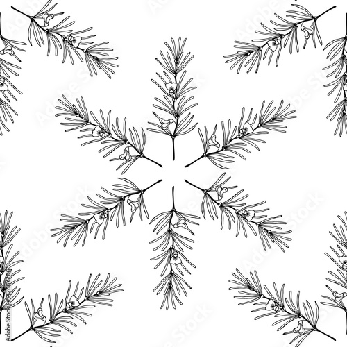Rooibos tea plant, leaf, flower. Seamless pattern. Hand drawn ink sketch illustration, lineart. African rooibos tea, hot drink. Herbal tea. Isolated on white background. 