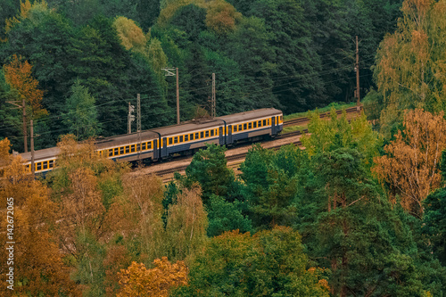 Passenger electric train moving through the forest in Riga