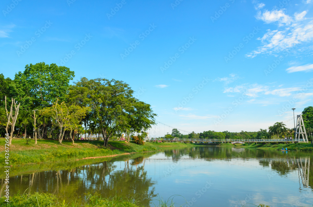 Fototapeta premium Lake view in the park
