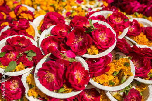 Fototapeta Naklejka Na Ścianę i Meble -  Puja flowers offering during Holi celebration in Vrindavan, India