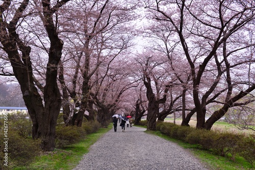 北上展勝地