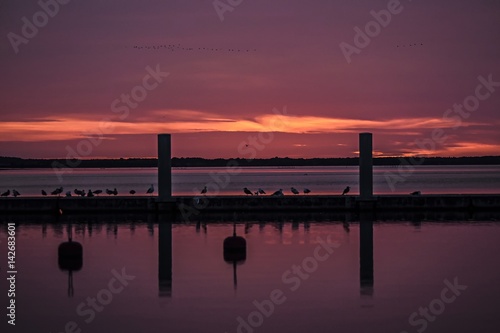 Pink sunset inmarine with a birds sitting on a jetty