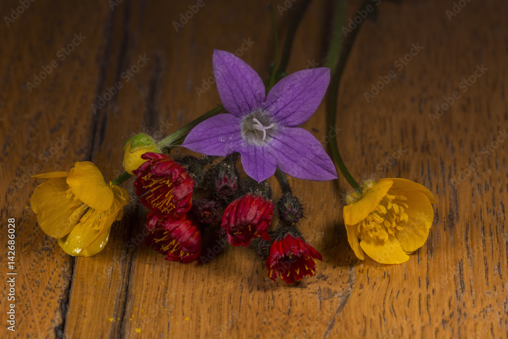 Wild flowers isolated on wood table