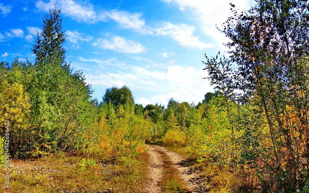 Fototapeta premium Unpaved road 