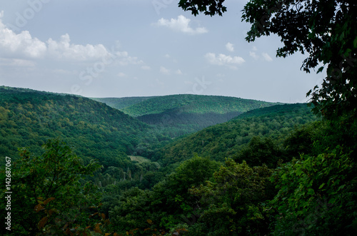 Mountain landscape, wonderful forest on Mount germinating © cezarksv