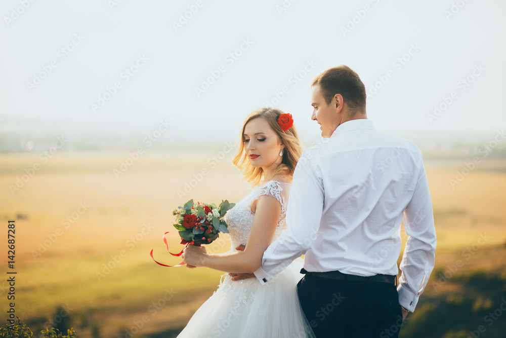 stylish gorgeous couple newlyweds standing on the rocks in the mountains stylish gorgeous couple newlyweds standing on the rocks in the mountains