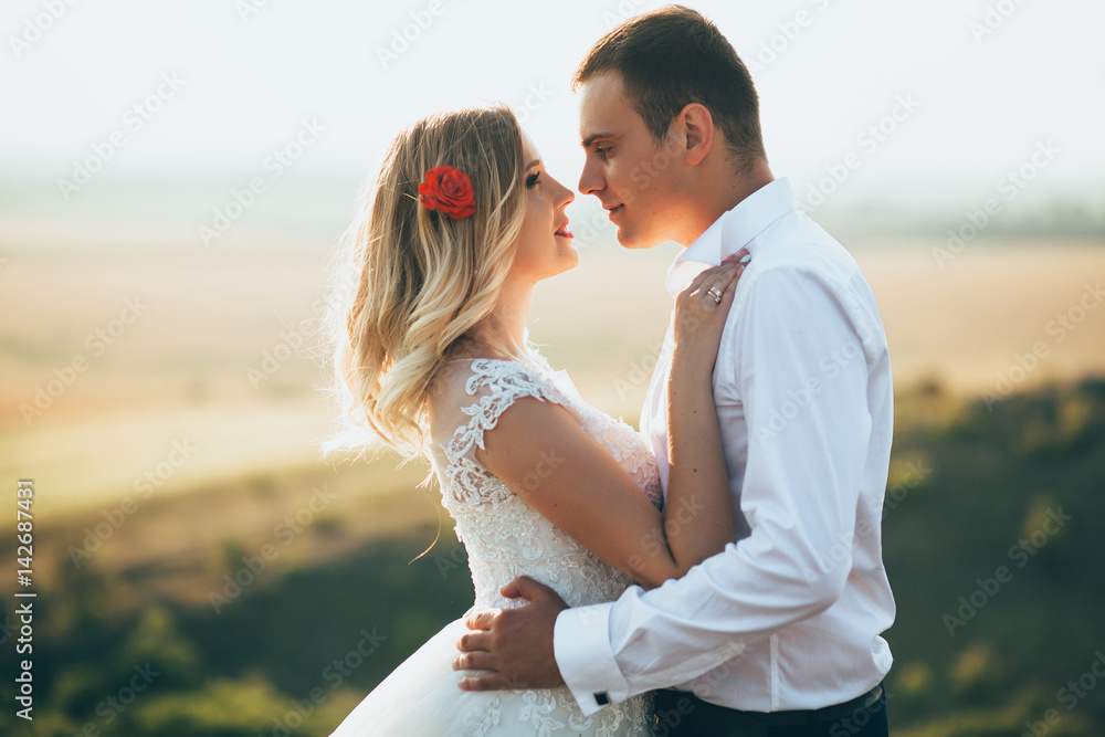Obraz premium Wedding couple hugging each other
